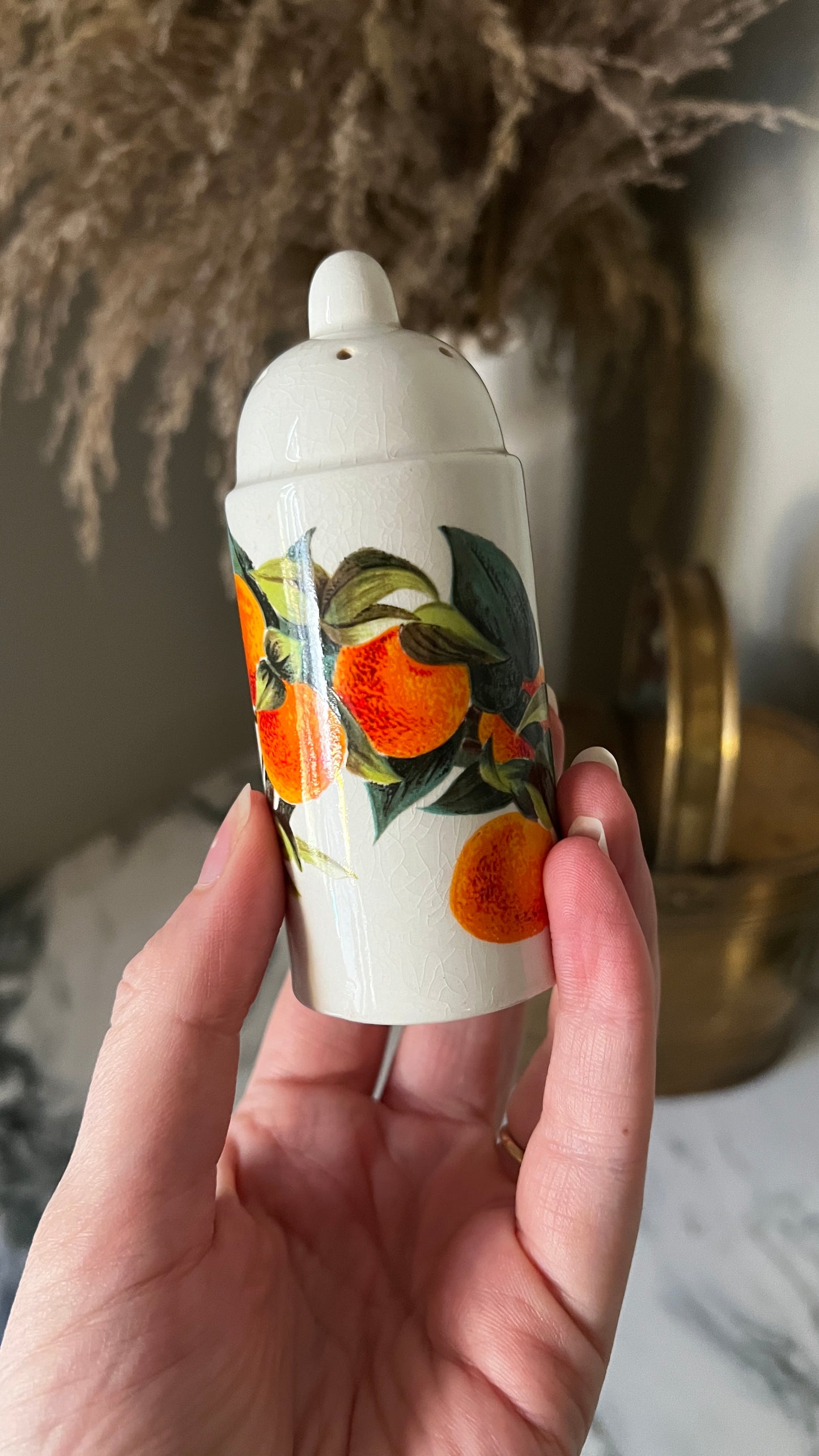 Portmeirion ceramic salt and pepper set