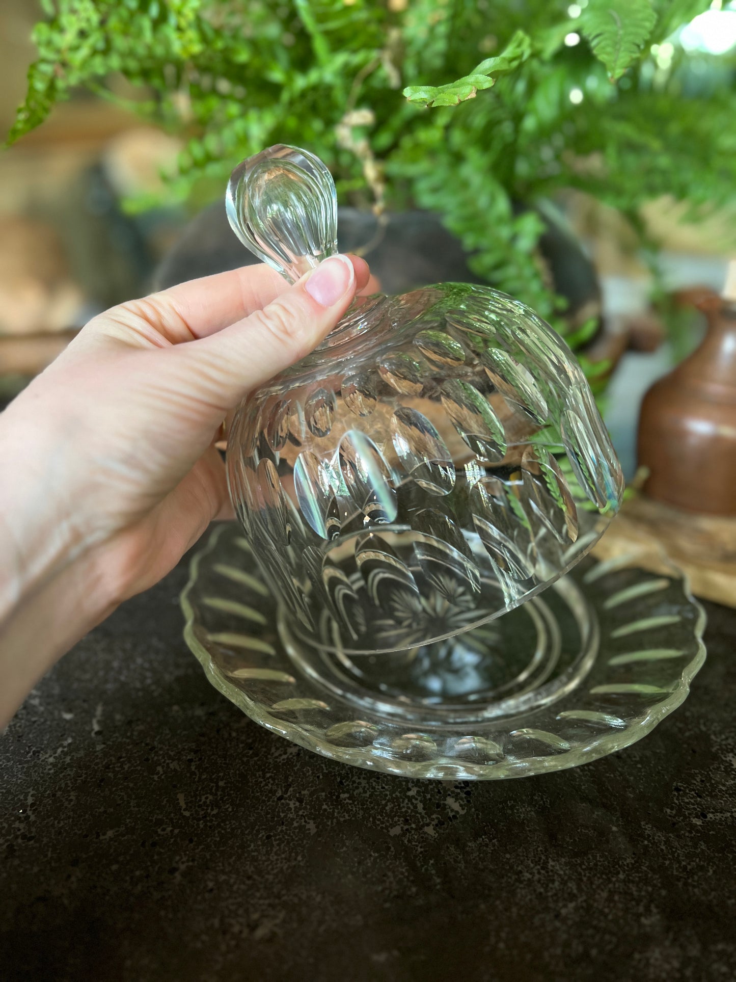 Glass cheese / butter dome