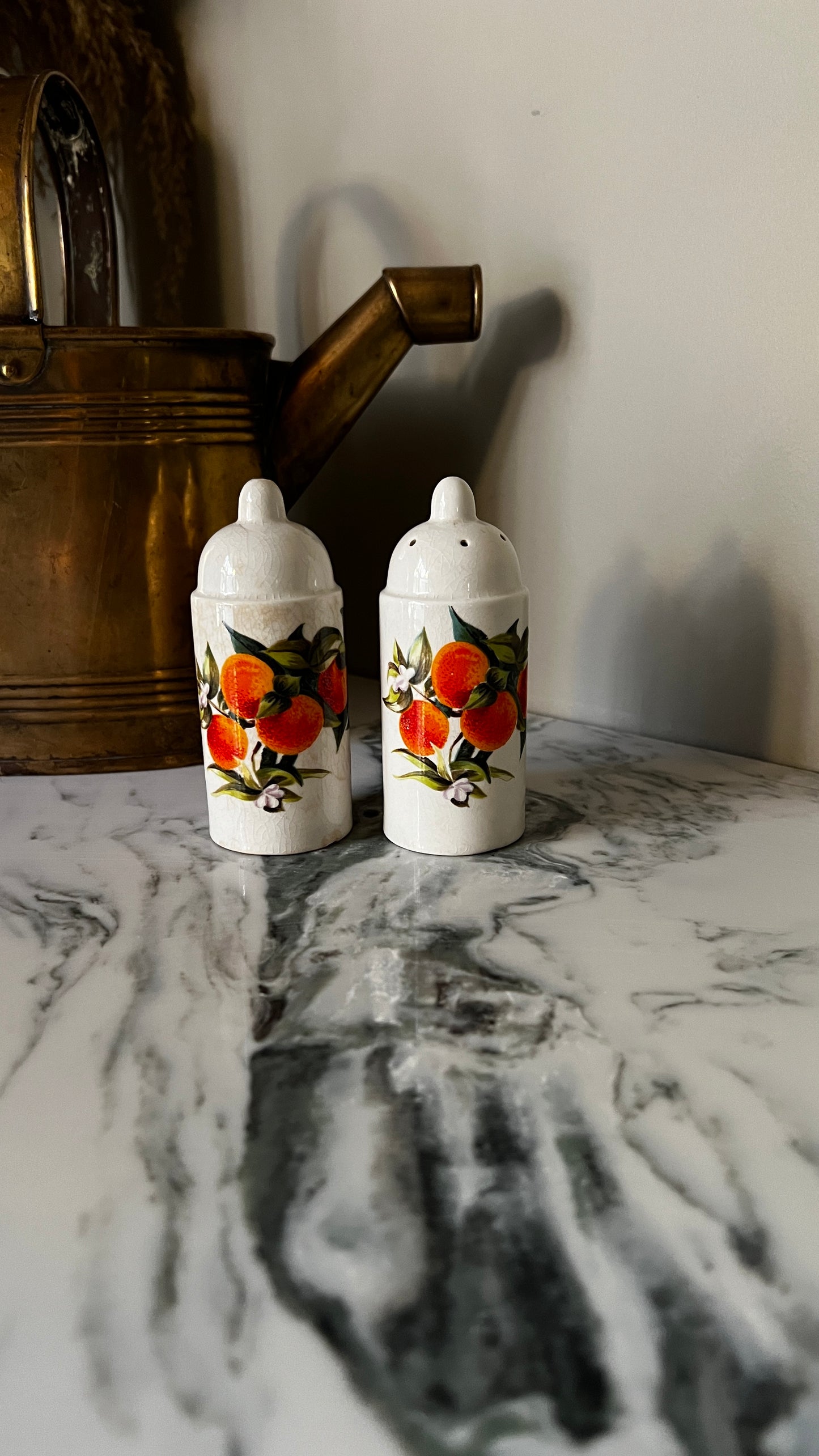 Portmeirion ceramic salt and pepper set