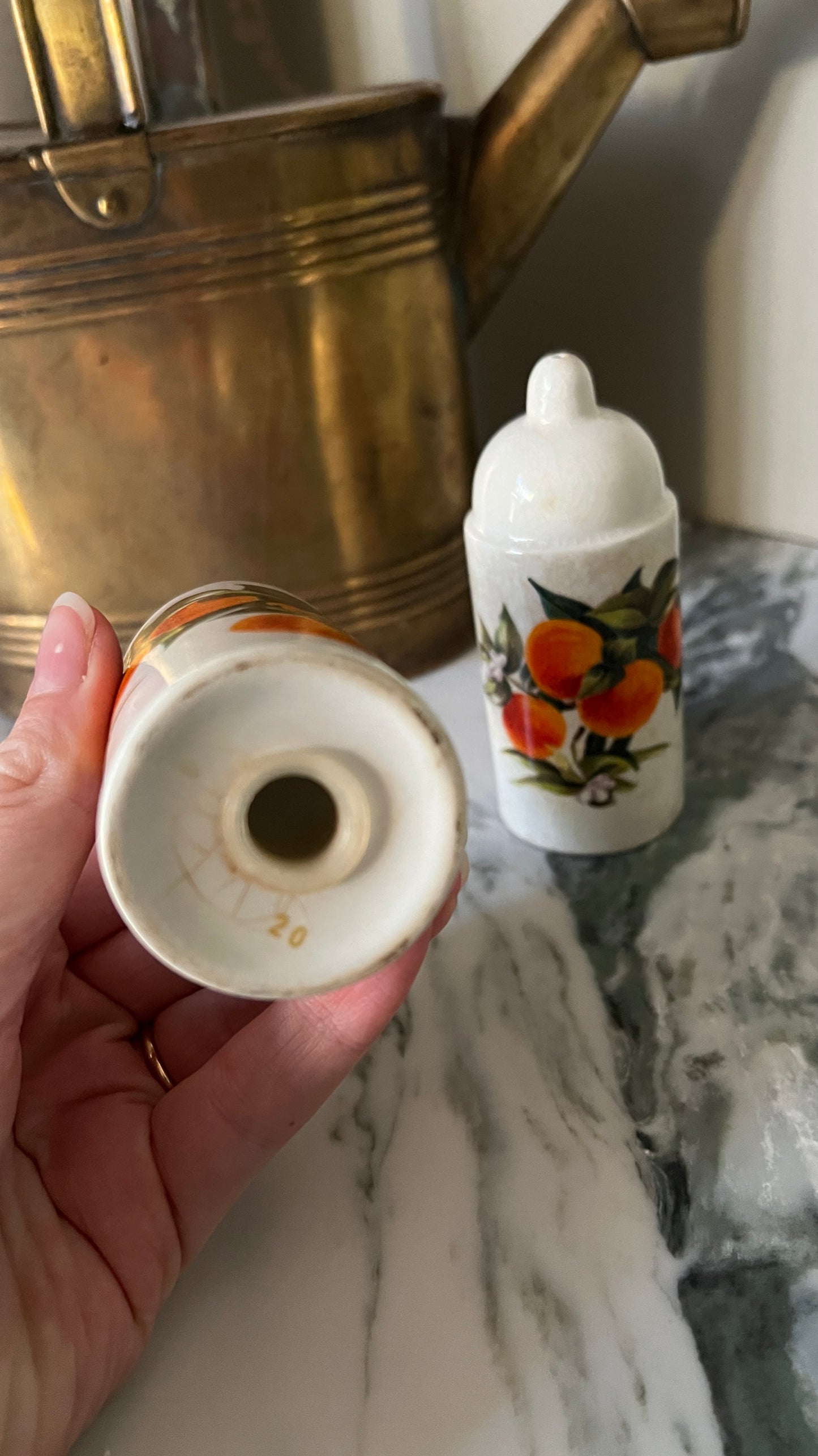 Portmeirion ceramic salt and pepper set