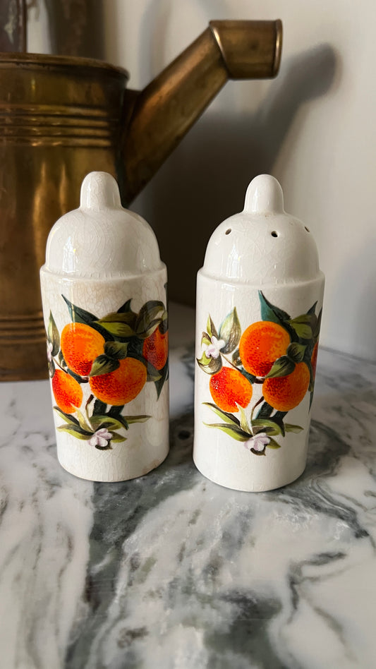 Portmeirion ceramic salt and pepper set