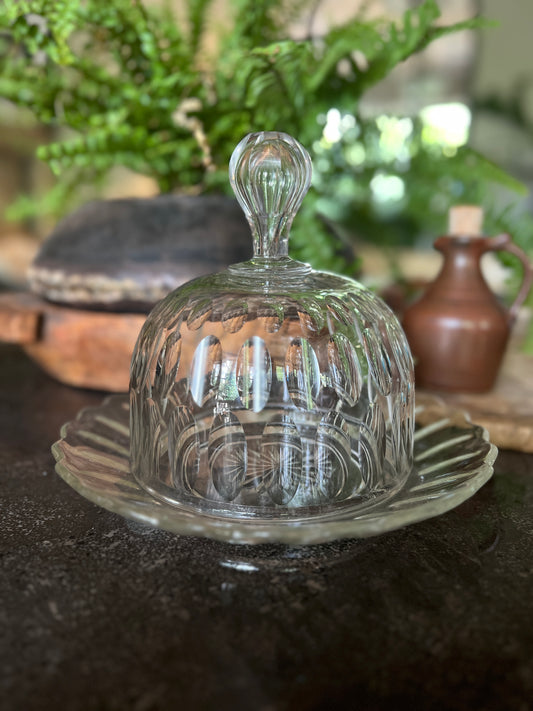Glass cheese / butter dome