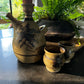 Stoneware carafe and drinking cups