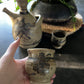 Stoneware carafe and drinking cups