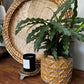 Medium round woven basket